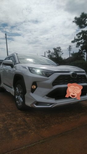 【朗報】ワイのRAV4が納車された