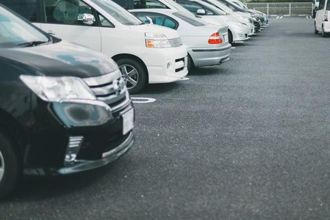 ワイ「車かおーっと」敵「維持費ガー駐車場ガー環境ガー」←これｗｗｗｗｗ