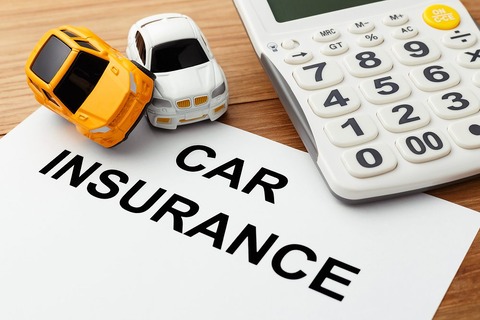 お前らって車の保険いくら払ってるの？ｗｗｗ