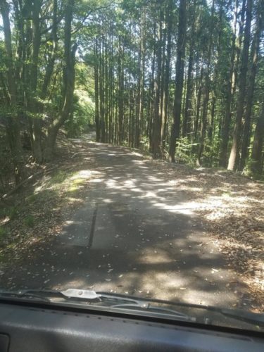 暇やから林道ドライブしてきたwwwwww
