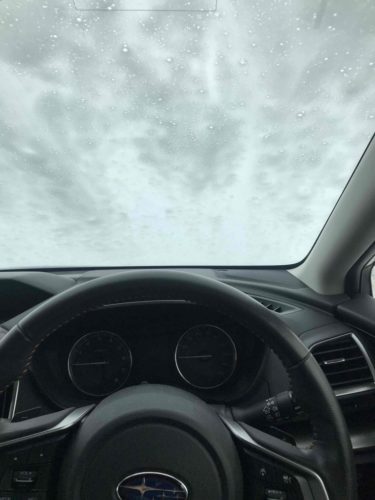 【画像】洗車機のトッピングでモコモコ洗車付けてみたｗｗｗｗｗｗｗｗｗｗｗｗｗｗ