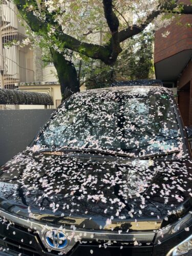 【悲報】ワイの車、終わるｗｗｗｗｗｗｗｗ