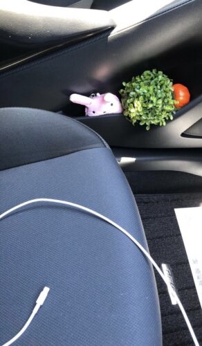 お前ら、本日は車でどこへ行った？