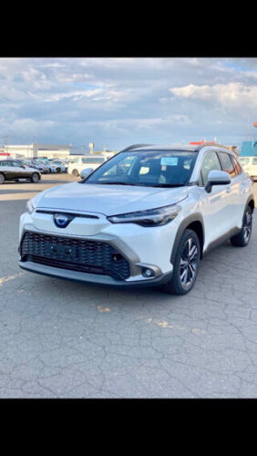 【悲報】トヨタさん、またしてもバカ売れする車を日本市場に投入するwwwwwwwwwww