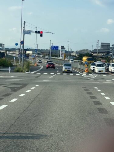 【画像】さっき車運転してたらちょっと変な奴が居たｗｗｗｗｗ