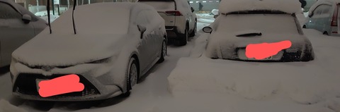 【悲報】車さん、雪のせいで一瞬で違法駐車がバレてしまうwwwwwwwwwww