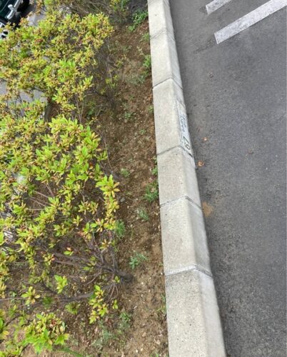 駐車場のこーゆー植え込みする無能なやつwwwwwwww