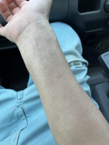 【悲報】車内放置ぼくくん、余命数分ｗｗｗｗｗｗｗｗｗｗｗｗ