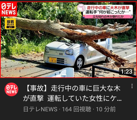 【事件】道路に木がいきなり倒れて車を直撃する姿がこちらwwwwwww