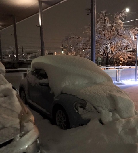 【悲報】我が愛車、雪により完全にやる気を失う