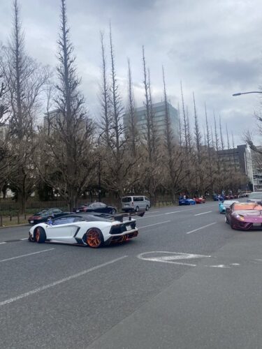 神宮外苑の迷惑なランボルギーニ軍団が晒された結果wwwwwww