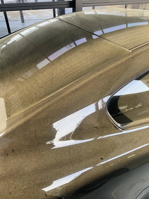 【画像】花粉でゴールド塗装された車がこちらwwwwwwwww