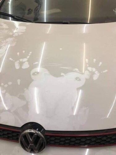 【悲報】ヤバすぎる車の汚れが見つかるwwwww