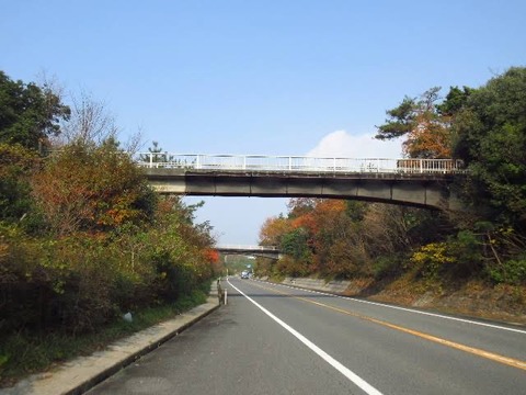 高速道路で見るこんな感じの橋に魅力を感じるんだがわかる人いない？