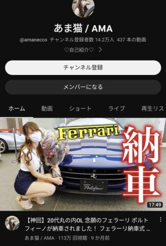 【悲報】高級車4台所有の美人YouTuber「いやああああ！今年の自動車税がとんでもないのおおおお！！」