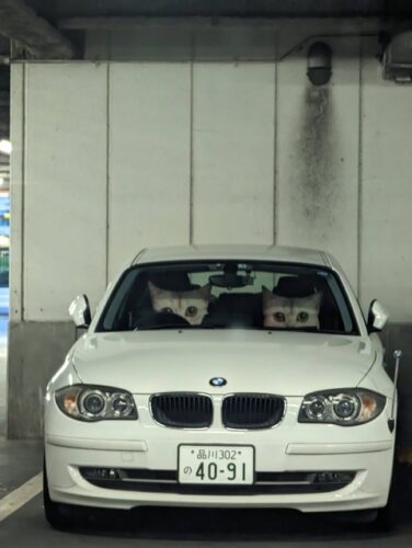 【画像】怖い車みつけた！！！【恐怖】