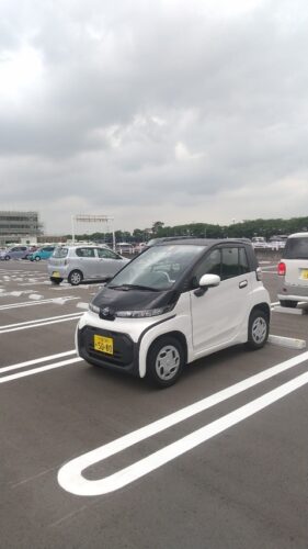 めちゃくちゃ小さい自動車見つけたんやが