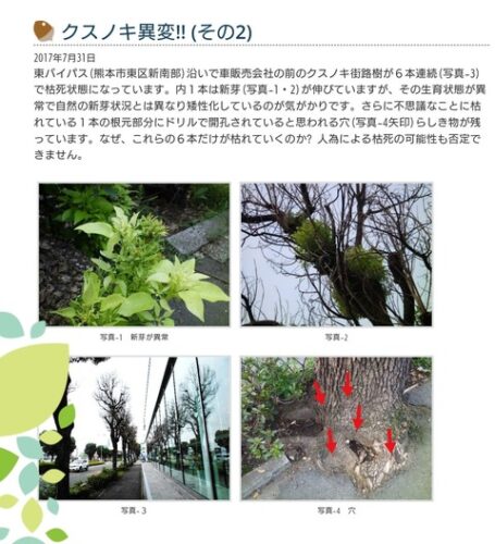 【悲報】ビッグモーター問題で余波　トヨタ販売店、街路樹の「伐採意図」説明に追われる