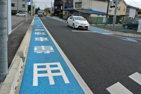 なんで日本は自転車は歩道を走るように定めなかったんや・・・・