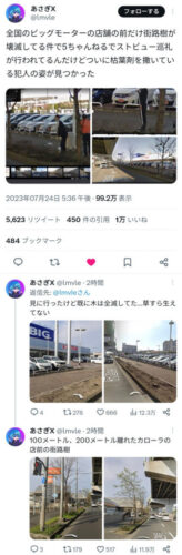 【悲報】ビッグモーター、何故か店舗前の街路樹が次々と「枯死」してしまうwwwwwww