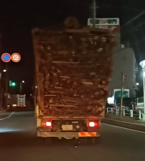 人気声優・中田譲治、高速で過積載トラックと遭遇し苦言「風圧で上の木材の破片が飛んできた事も…やめて欲しい」