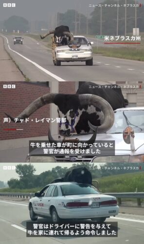 【画像】アメリカ人さん、車の助手席にとんでもないものを乗せるｗｗｗｗｗｗｗ