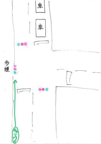 交通ルールについてだが、こういう時って止まらず直進してええんか?