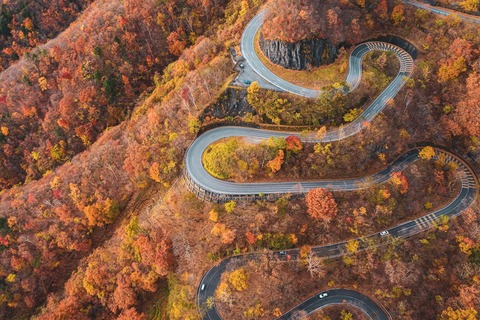 秋にドライブで行きたい都道府県ランキングTOP10！ 2位「栃木県」、1位は？
