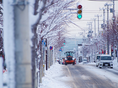来月人生初めての北海道ドライブなんやが、遺書書いた方がええんか？