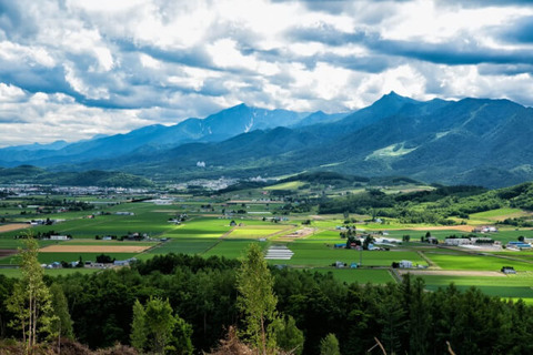 有識者「地方で200万円の家を買って車無しで節約生活すれば月々数万円で暮らせます。」