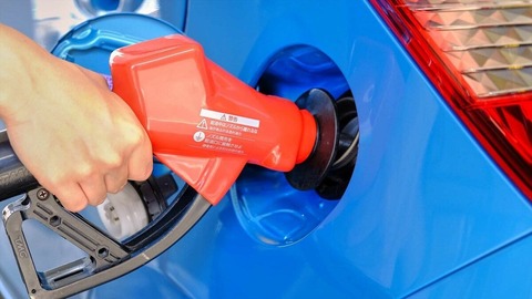 【悲報】EU「2030年までにガソリン車を全て禁止しますっ！」←これ