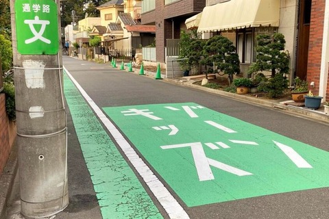 【疑問】車ユーザー「歩行者や自転車は税金払ってないのに道路を使うのはおかしくないですか？」←これｗｗｗｗ