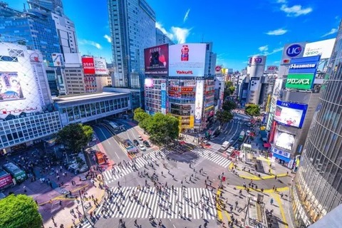 東京民達『車はいらないよ』←これｗｗｗｗｗｗｗｗ