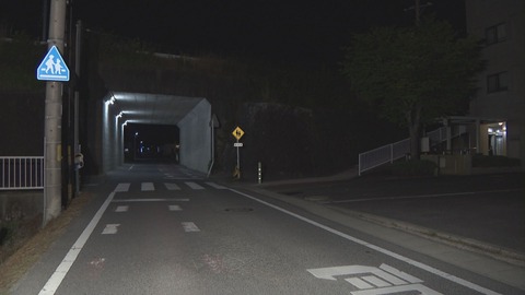 自転車に乗ってた男の子、プリウスとぶつかった結果・・・・