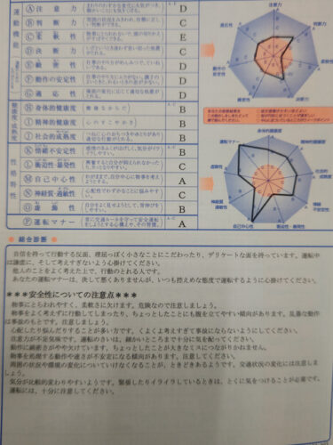 【画像】自動車教習所で適性検査を受けた結果がこちら