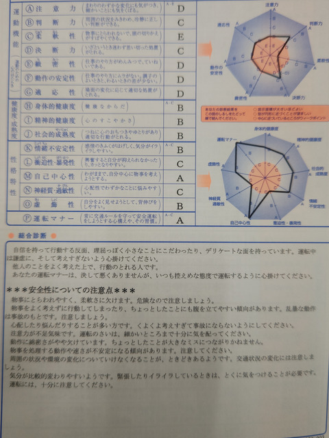 【画像】自動車教習所で適性検査を受けた結果がこちら